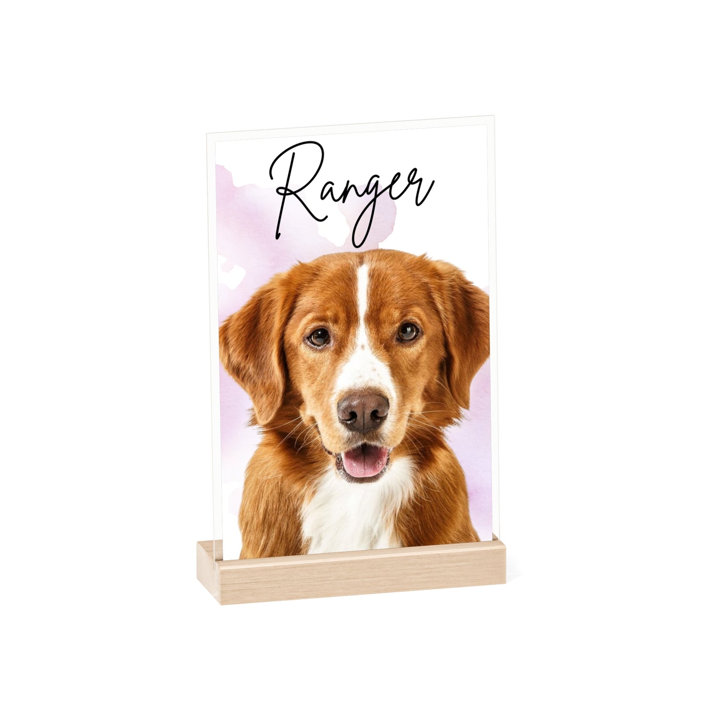 Personalized Dog Portrait Acrylic Sign with Wooden Stand | Pet Name Display