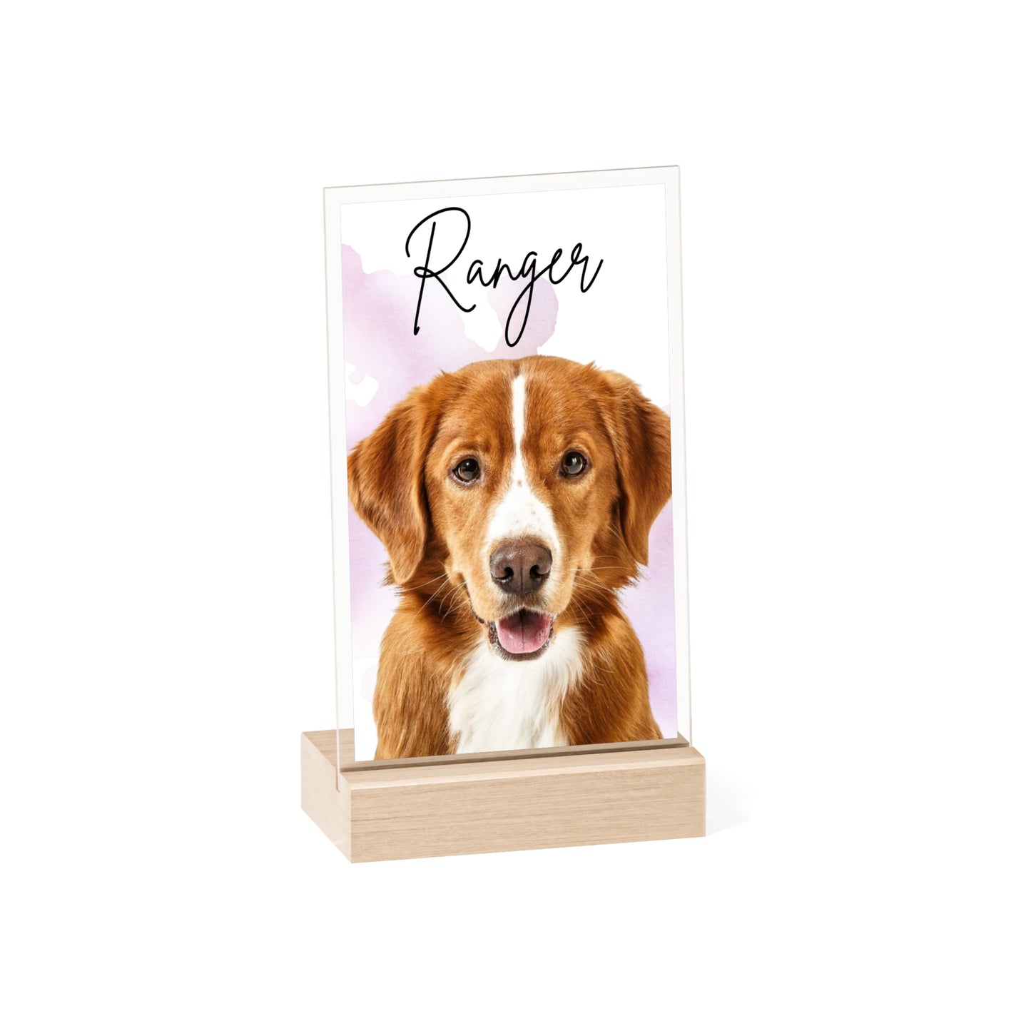 Personalized Dog Portrait Acrylic Sign with Wooden Stand | Pet Name Display